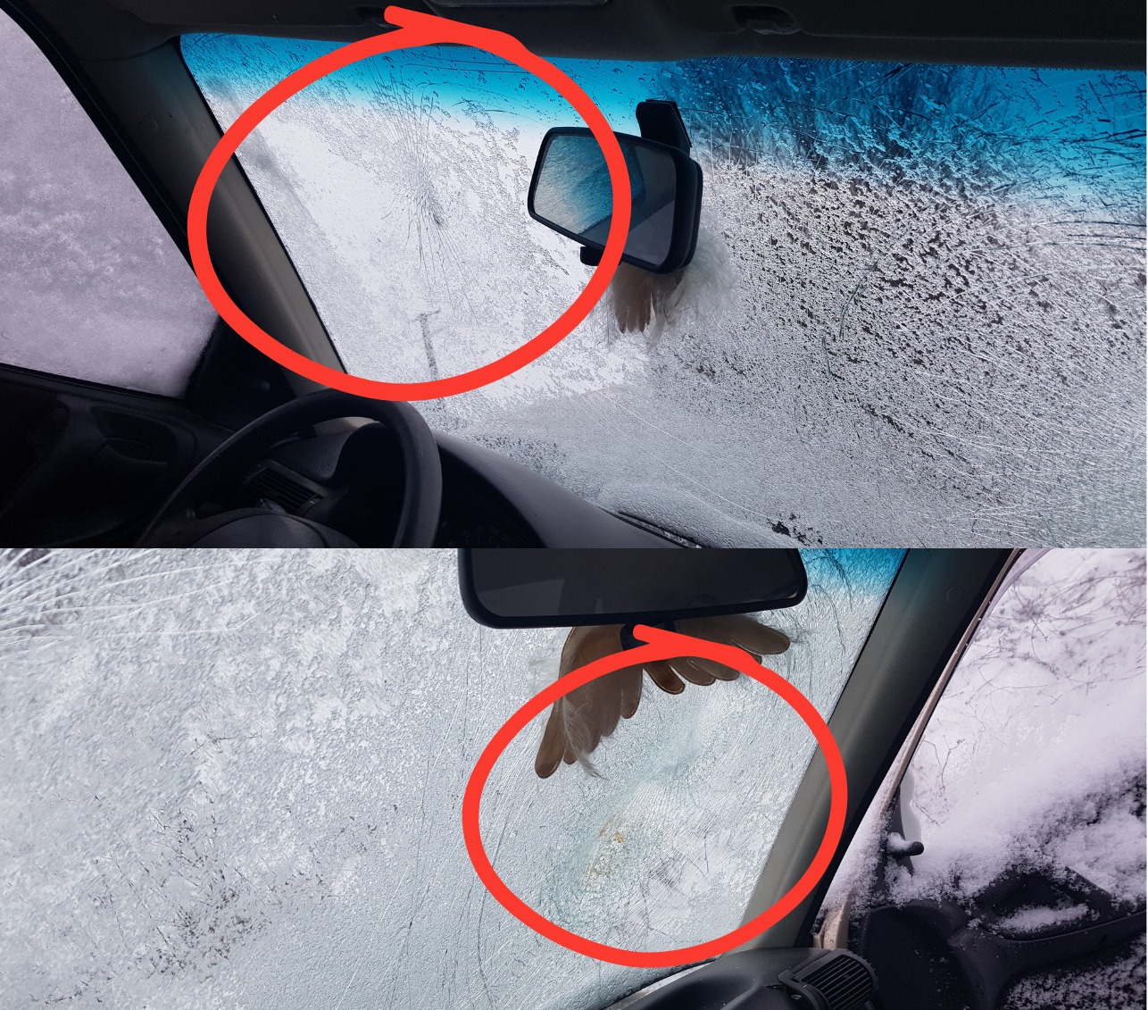 Fotók az utastérből: nem voltak bekötve az Opelben, szétfejelték a szélvédőt 1