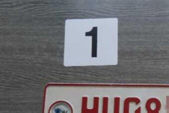 Megállítottak egy autóst, a rendszámától a magyar rendőrök álla is leesett