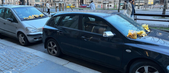 Fizetett, aztán pofára esett a szabálykövető autós 6