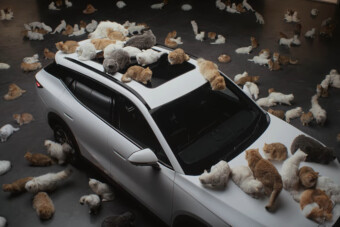 Macskákkal tesztelték az új kínai SUV-t