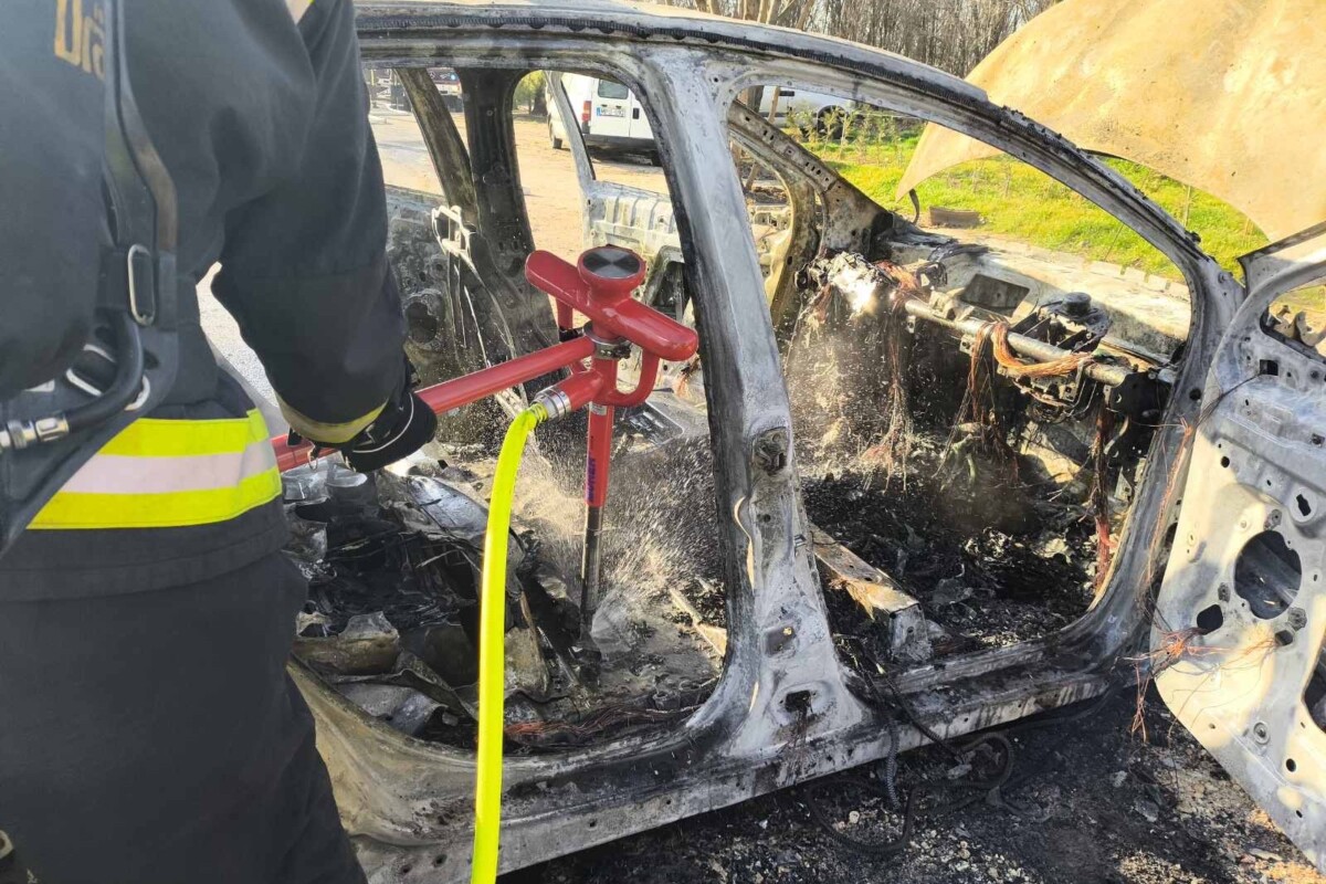 Nem mindennapi jelenet játszódott le Ócsán