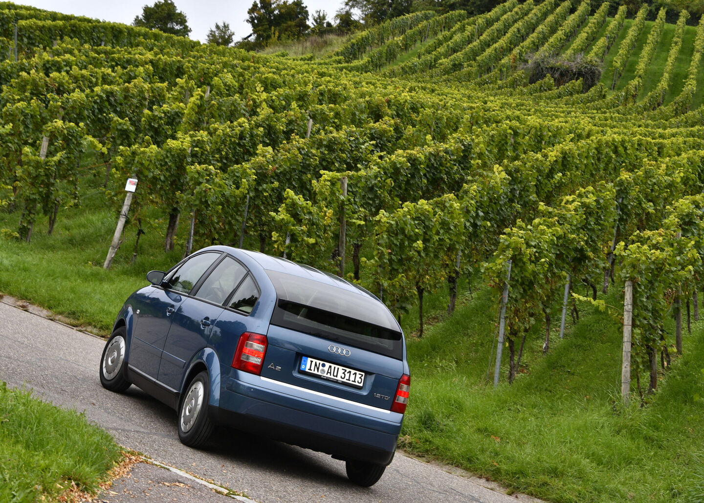 a251596_web_1440 | Vezess