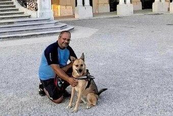 Új információk derültek ki a gazdáját villogtatással megmentő soproni kutyáról