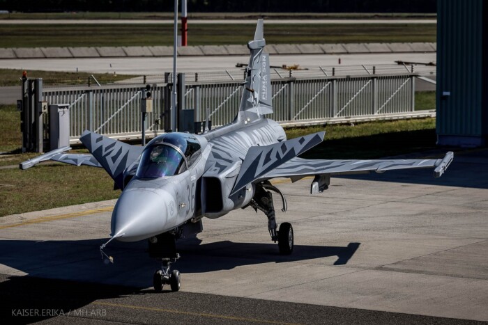 Állati jó, egyedi minták kerültek egy magyar vadászgépre 6