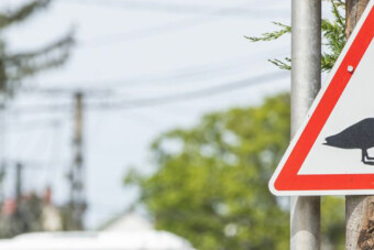Ezt a közlekedési táblát sok magyar autós még soha nem látta