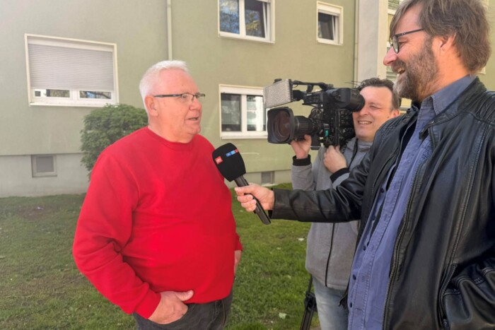 Macskára dudált az autós, megbírságolták 2 Macskára dudált az autós, megbírságolták 2