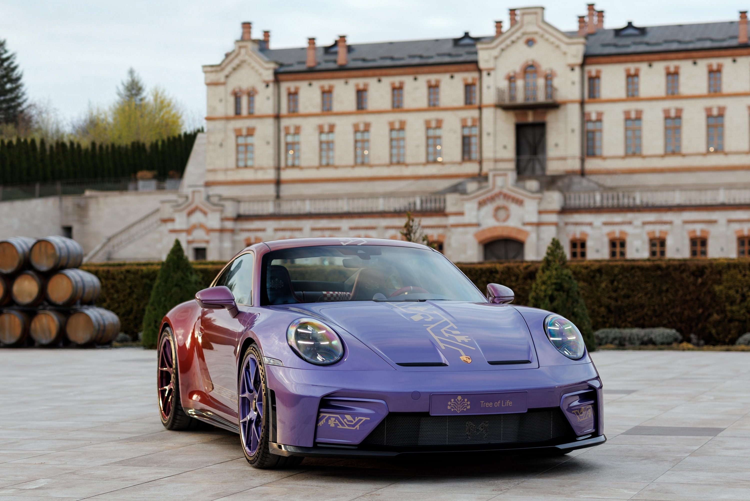 porsche-911-gt3-touring-package-tree-of-life-11 | Vezess