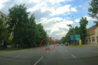 Megállították a furgont, de ilyen szállítmányra senki sem számított 1 Megállították a furgont, de ilyen szállítmányra senki sem számított 1