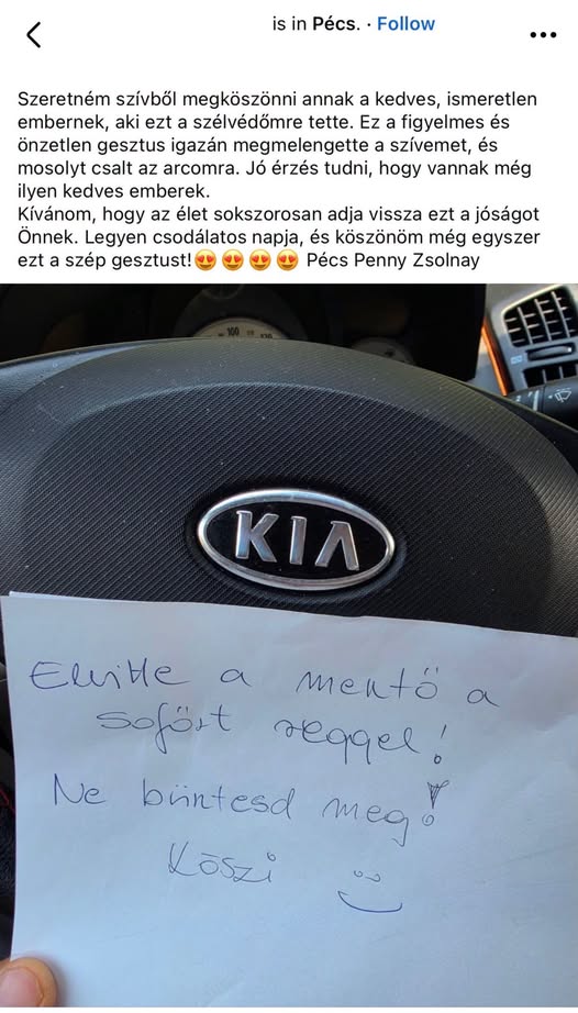 Cetli landolt egy autón a Penny parkolóban, az üzenettől elolvadt az internet 1 Cetli landolt egy autón a Penny parkolóban, az üzenettől elolvadt az internet 1