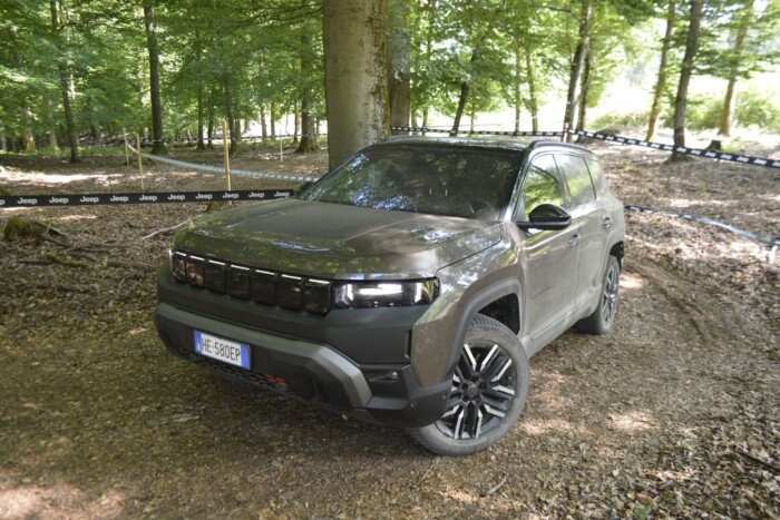 Ez a Jeep már nem veri fel az erdő csendjét 12 Ez a Jeep már nem veri fel az erdő csendjét 12