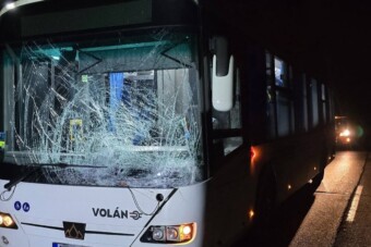 Méretes szarvast kapott telibe egy busz Pilisvörösvárnál, fotókon a baleset