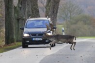 Itt az idő, amikor 300 kiló bármikor csattanhat a szélvédőn 3