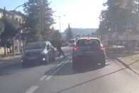 Nem használta a zebrát, bilincsben vitték el 1 Nem használta a zebrát, bilincsben vitték el 1