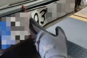 Ilyen trükkös rendszámot még a pénzügyőrök sem láttak, az se semmi, min szúrták ki