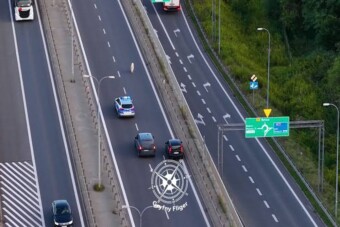 Felrobbantotta az internetet a főúton szaladgáló kutya