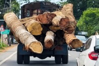 Nagyon csúnyán végződött egy tolatás az érdi benzinkúton 1 Nagyon csúnyán végződött egy tolatás az érdi benzinkúton 1