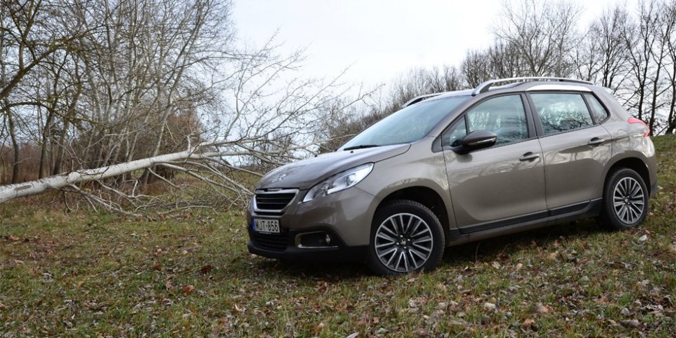 Lelkes, francia amatőr