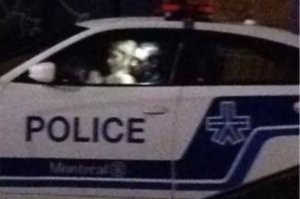 Édes négyes a rendőrautóban