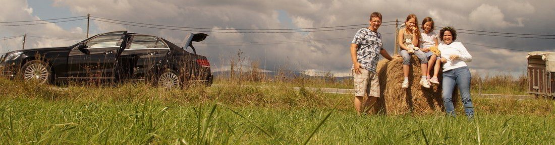 Félfapados csillagos: E Merci-teszt