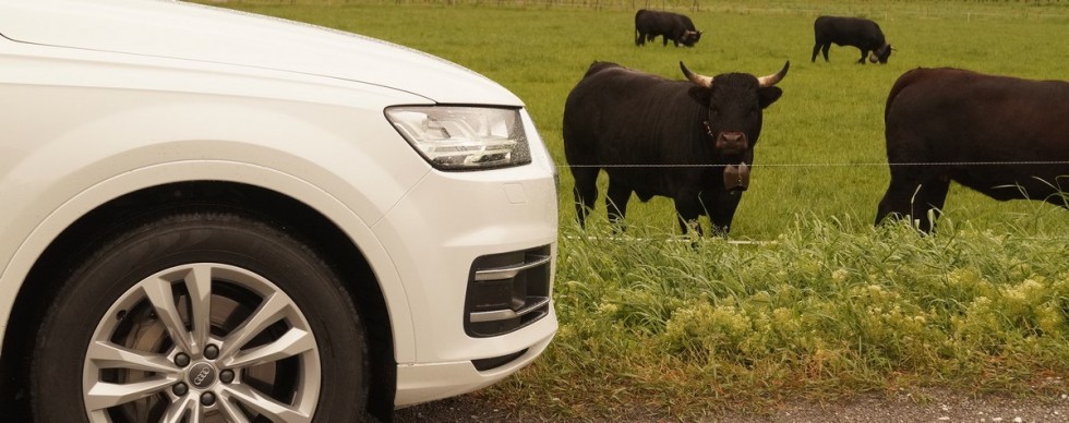 Asszisztens kéne a sok asszisztenshez – kipróbáltuk az új Audi Q7-est