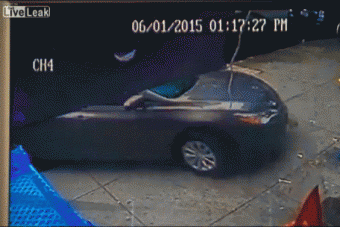 Plüssmacival játszott, áthajtottak rajta