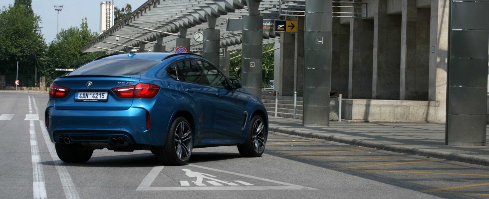 Kokainnal etetett elefánt hátán ülni