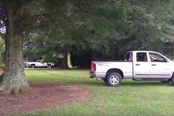 Ordas meglepetést hoz a fahúzó furgon videója