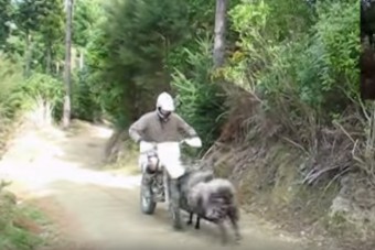 10 millióan látták már ezt a videót, nézd meg te is