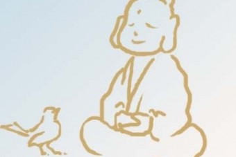 Ideges vagy? Tanulj nyugalmat ettől a madártól!