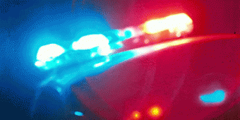 Autót rabolt, de ahhoz is hülye, hogy vezessen