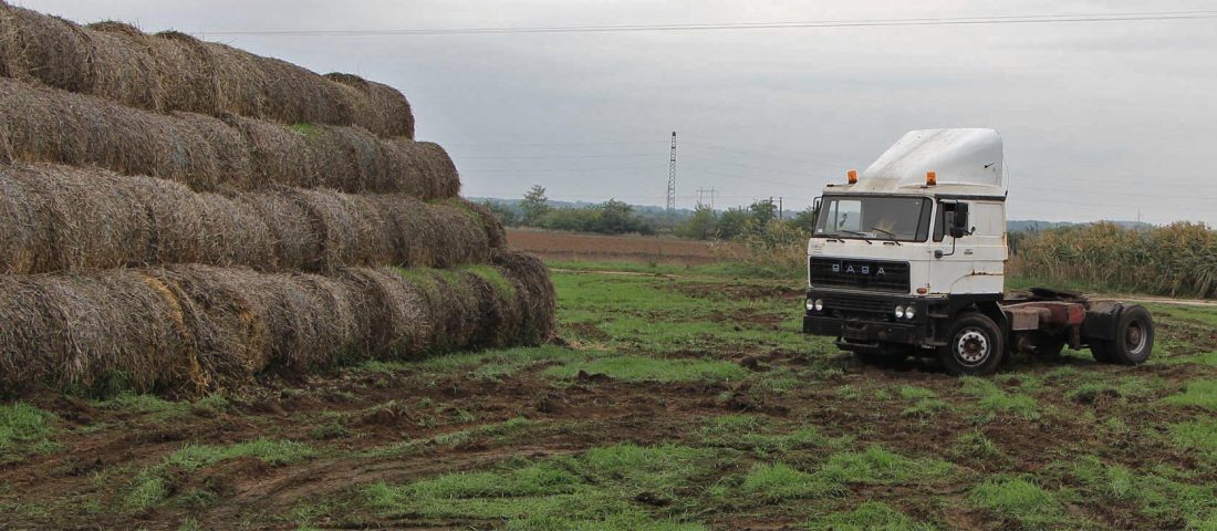 Dühös Rába randalírozott a csirketelepen
