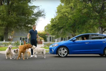 Dögös csajok és gyilkos medvék a Super Bowl szünetében