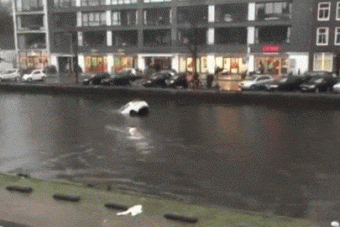 A jeges vízből mentették ki az anyát és csecsemőjét